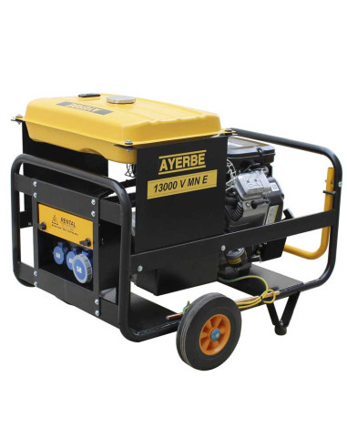 Generador AVR 9.000 W A. Eléc. VANGUARD 23 HP AY13000V MN AVR A/E AYERBE